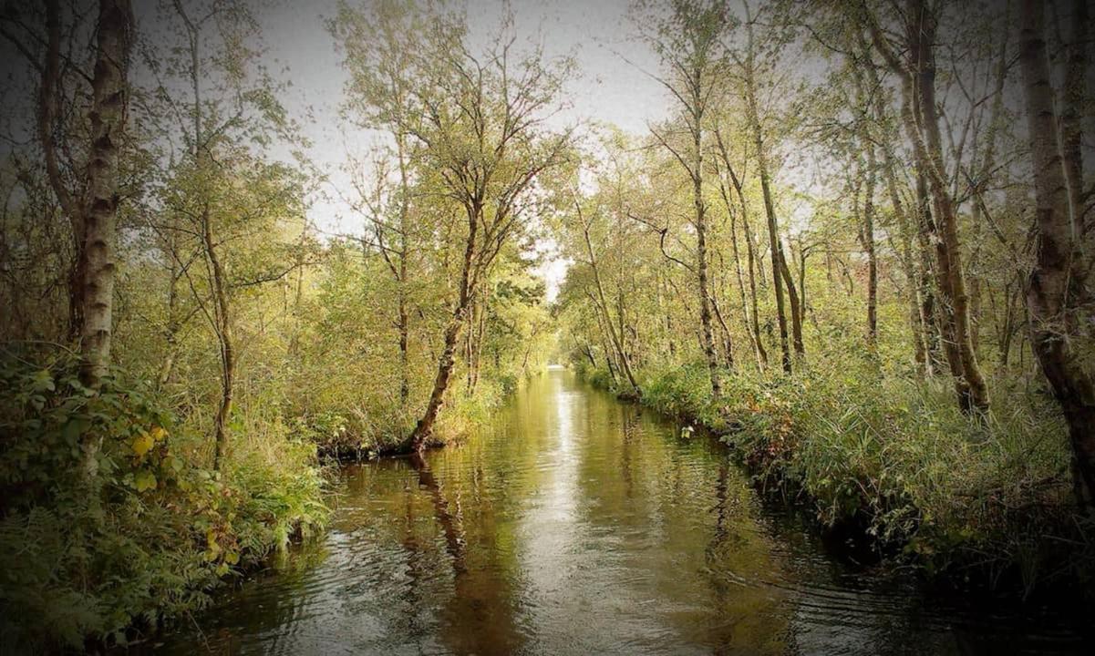 Natuur Lodge Blesdijke Eksteriør bilde